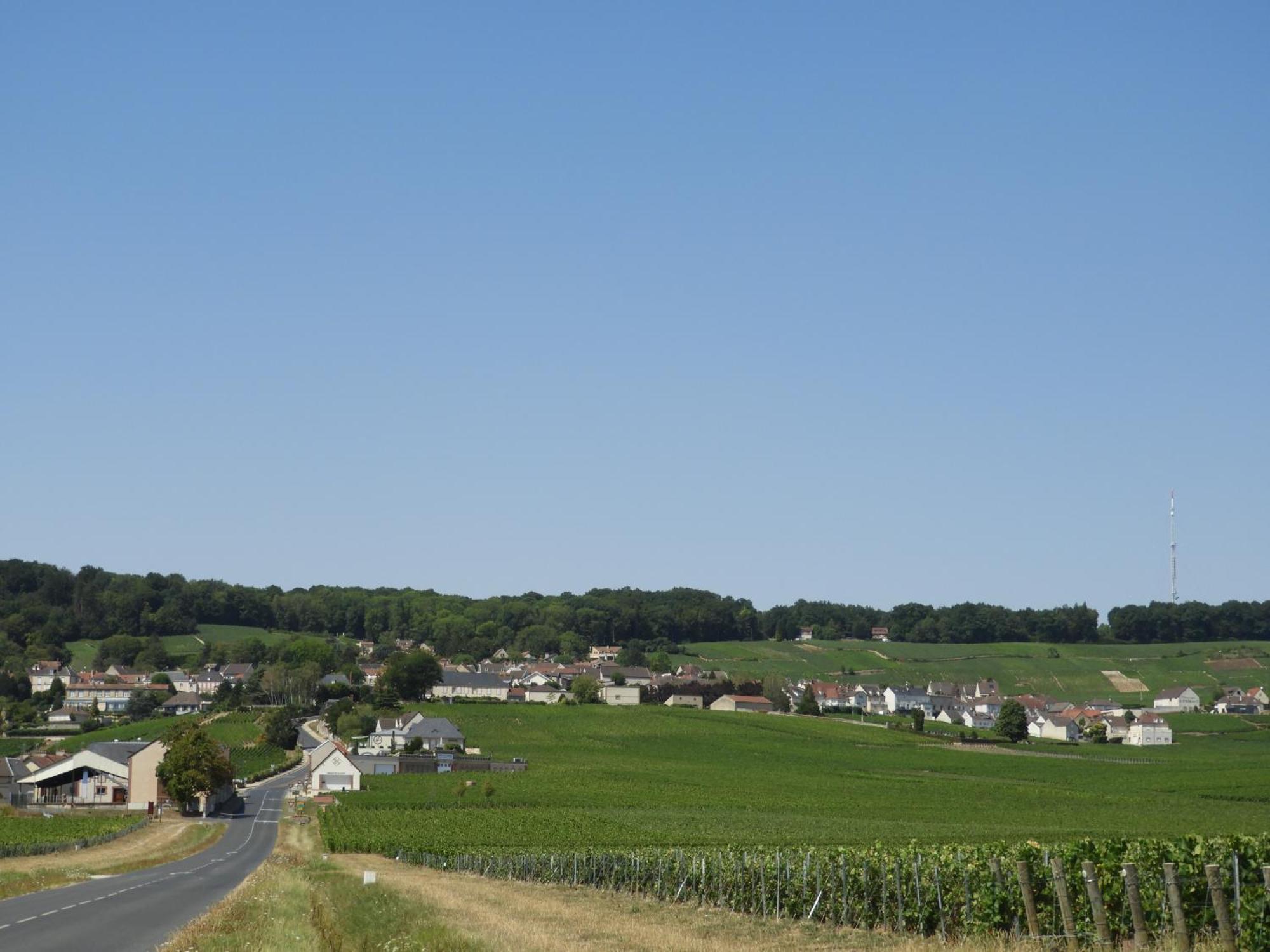 Les Galipes Hautvillers Exterior foto