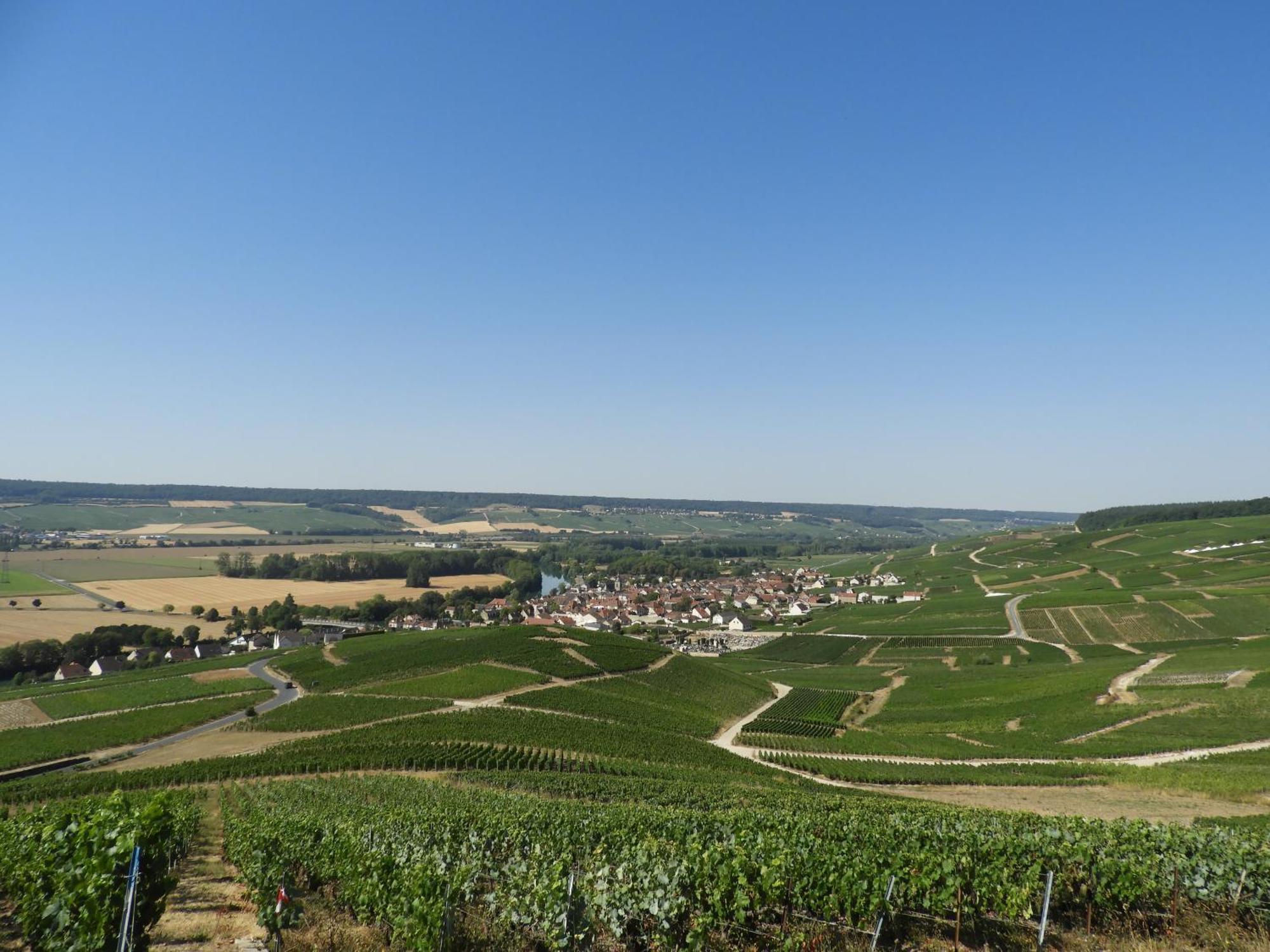 Les Galipes Hautvillers Exterior foto